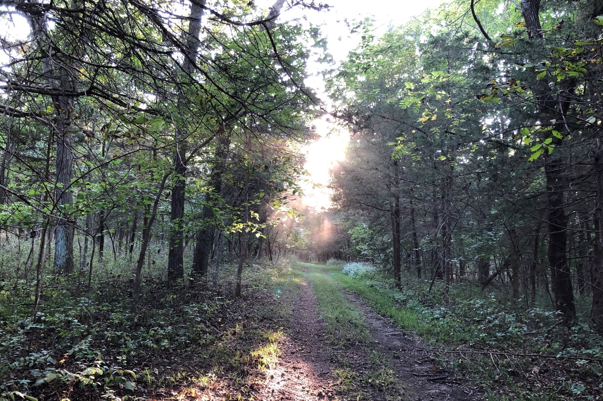 Trails at Hidden Timber Farm horse pasture boarding
